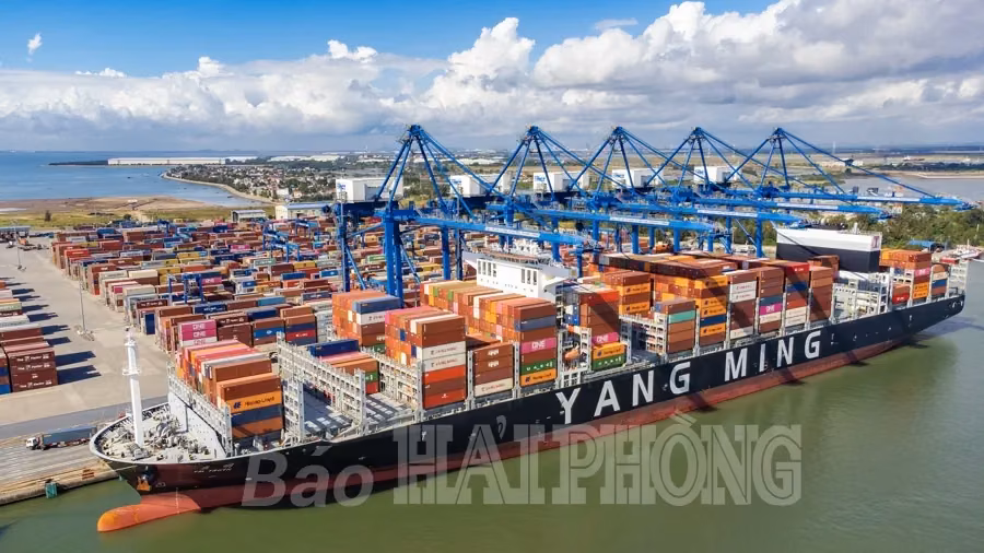 Cảng container quốc tế Tân Cảng Hải&nbsp;Phòng: Năm thứ 2 liên tiếp đón TEU thứ 1 triệu qua cảng