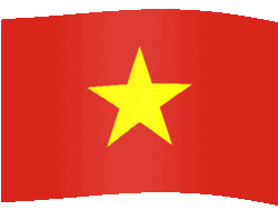 Vietnam Flag
