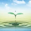 images (2)